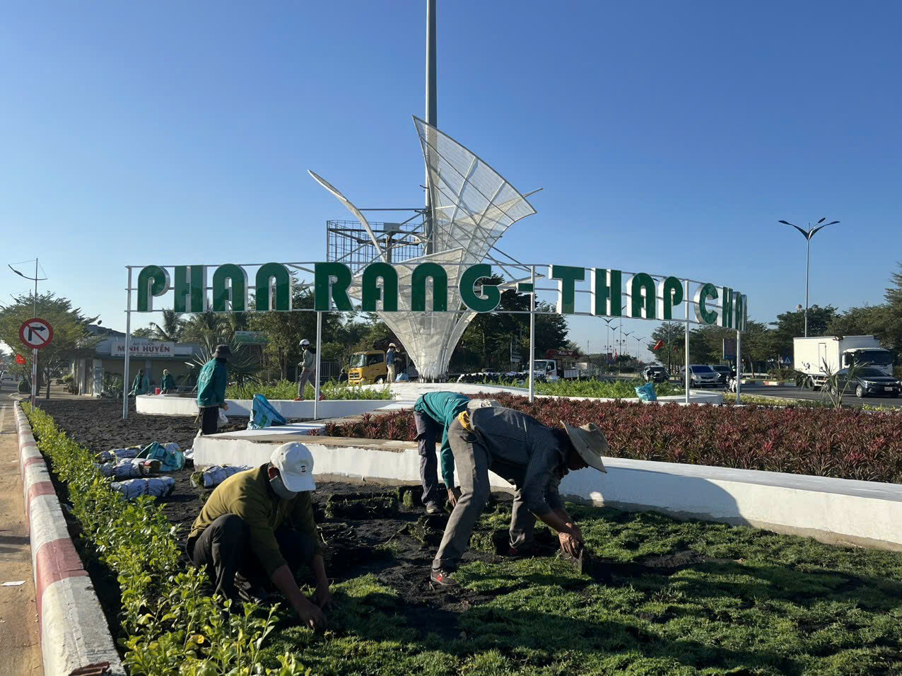 Cây Xanh Ninh Thuận